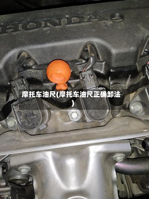摩托车油尺(摩托车油尺正确卸法)