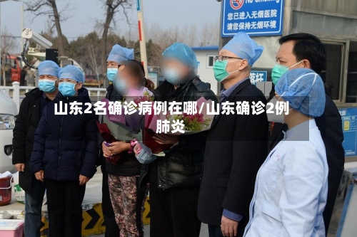 山东2名确诊病例在哪/山东确诊2例肺炎-第2张图片