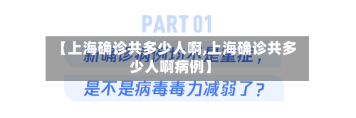 【上海确诊共多少人啊,上海确诊共多少人啊病例】-第2张图片