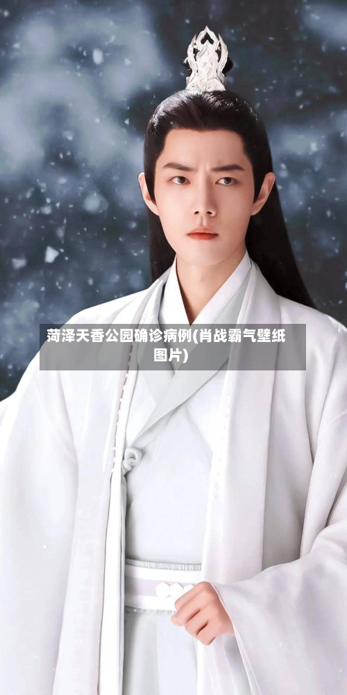 菏泽天香公园确诊病例(肖战霸气壁纸图片)-第2张图片