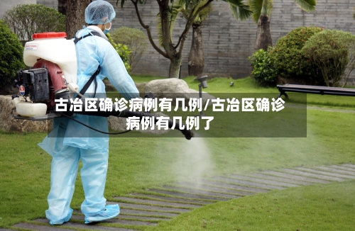 古冶区确诊病例有几例/古冶区确诊病例有几例了-第3张图片