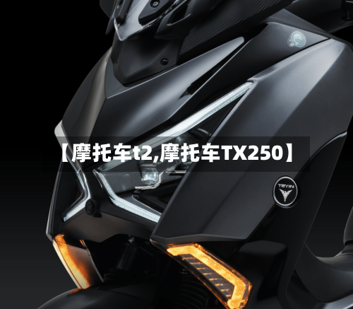【摩托车t2,摩托车TX250】-第2张图片