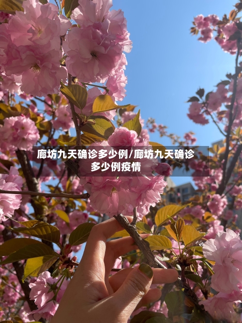廊坊九天确诊多少例/廊坊九天确诊多少例疫情