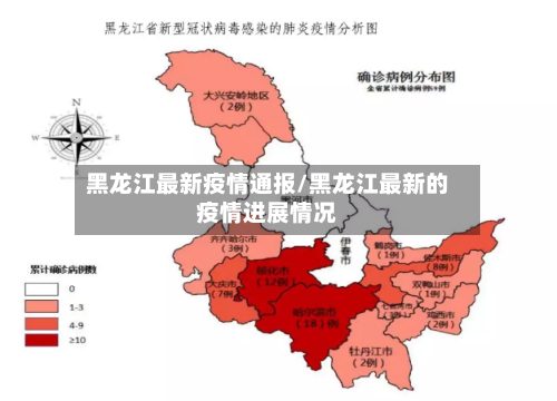 黑龙江最新疫情通报/黑龙江最新的疫情进展情况-第2张图片
