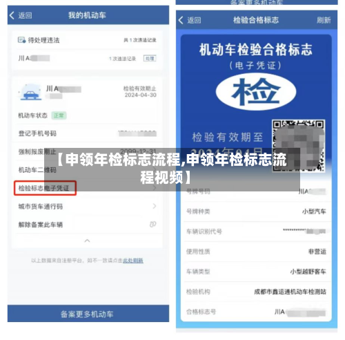 【申领年检标志流程,申领年检标志流程视频】-第2张图片
