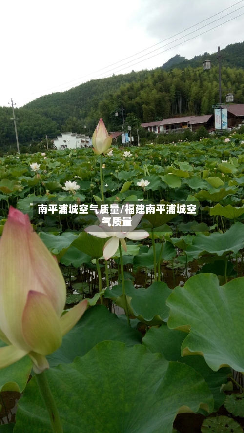 南平浦城空气质量/福建南平浦城空气质量