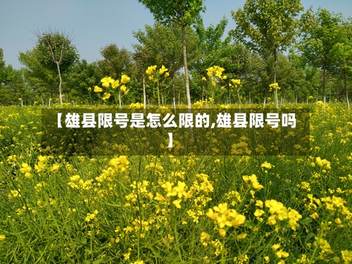 【雄县限号是怎么限的,雄县限号吗】