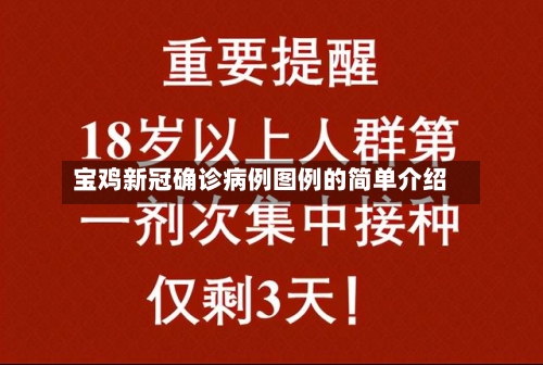 宝鸡新冠确诊病例图例的简单介绍-第2张图片