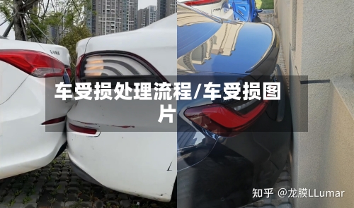 车受损处理流程/车受损图片