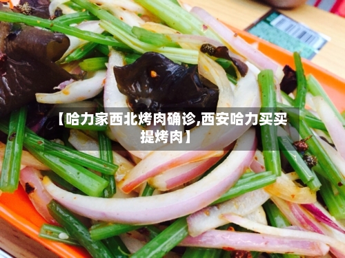 【哈力家西北烤肉确诊,西安哈力买买提烤肉】