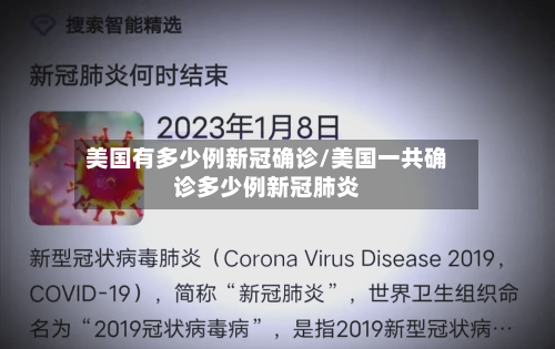 美国有多少例新冠确诊/美国一共确诊多少例新冠肺炎-第2张图片