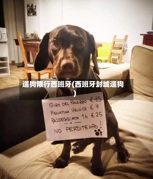 遛狗限行西班牙(西班牙封城遛狗)