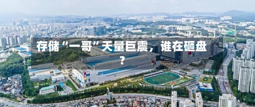 存储“一哥”天量巨震,谁在砸盘?