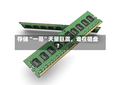 存储“一哥”天量巨震，谁在砸盘？-第3张图片