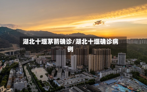 湖北十堰茅箭确诊/湖北十堰确诊病例-第2张图片