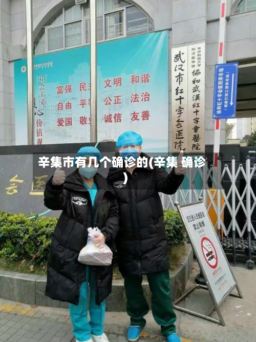 辛集市有几个确诊的(辛集 确诊)-第3张图片