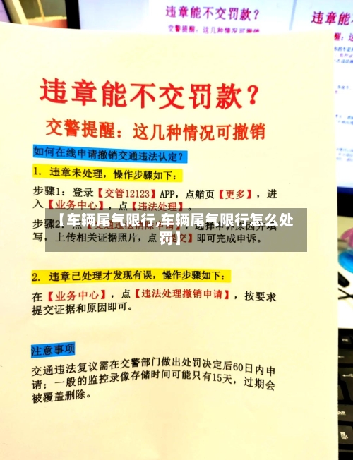 【车辆尾气限行,车辆尾气限行怎么处罚】-第3张图片