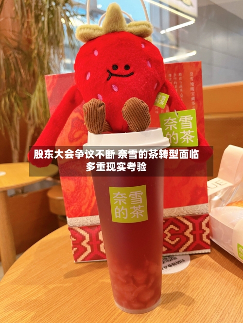 股东大会争议不断 奈雪的茶转型面临多重现实考验-第3张图片
