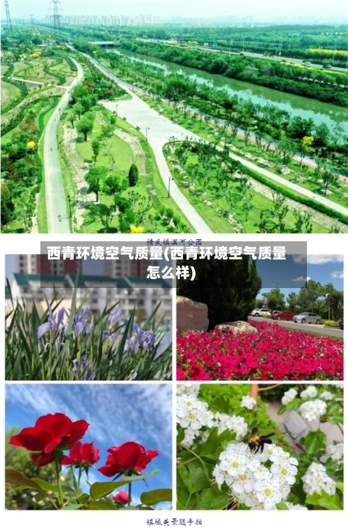 西青环境空气质量(西青环境空气质量怎么样)