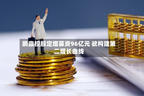 鹏鼎控股定增募资96亿元 欲构建第二增长曲线
