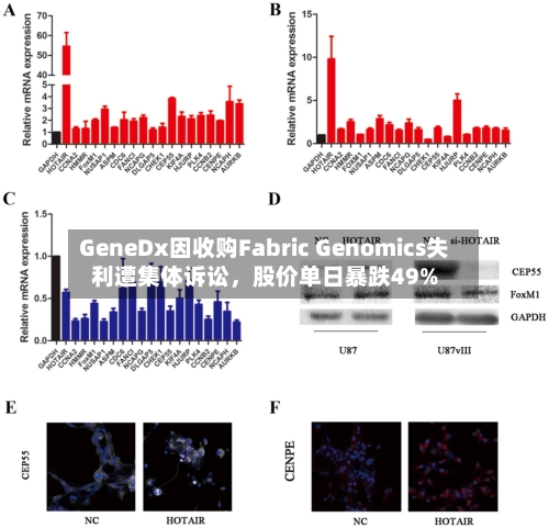 GeneDx因收购Fabric Genomics失利遭集体诉讼，股价单日暴跌49%-第2张图片