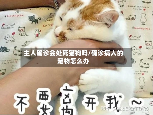 主人确诊会处死猫狗吗/确诊病人的宠物怎么办
