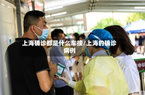 上海确诊都是什么车接/上海的确诊病例