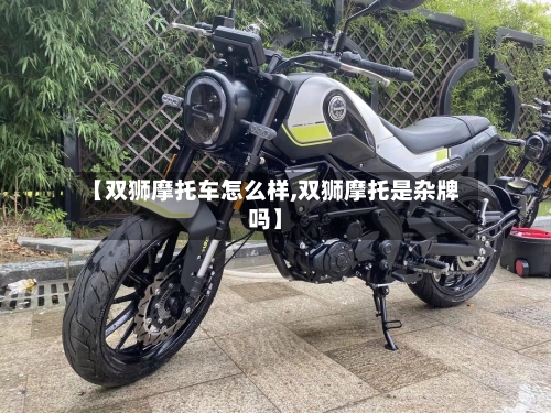 【双狮摩托车怎么样,双狮摩托是杂牌吗】