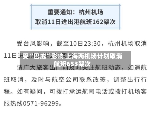 受“巴威”影响 上海两机场计划取消航班653架次-第2张图片