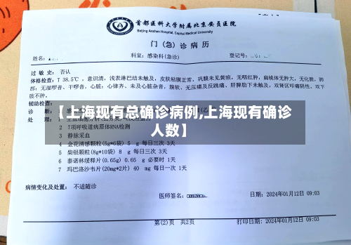 【上海现有总确诊病例,上海现有确诊人数】-第3张图片