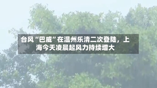 台风“巴威”在温州乐清二次登陆	，上海今天凌晨起风力持续增大-第3张图片