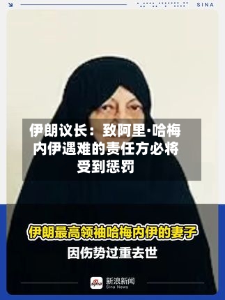 伊朗议长：致阿里·哈梅内伊遇难的责任方必将受到惩罚-第3张图片