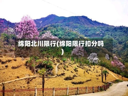 绵阳北川限行(绵阳限行扣分吗)