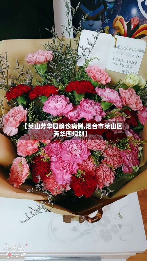 【莱山芳华园确诊病例,烟台市莱山区芳华园规划】-第2张图片