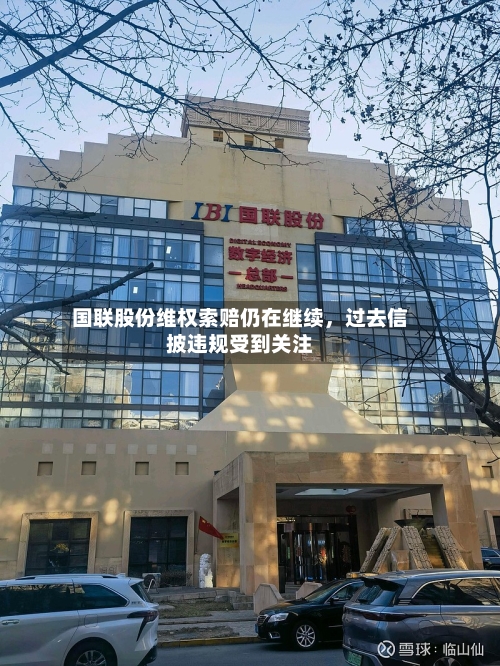 国联股份维权索赔仍在继续，过去信披违规受到关注-第3张图片