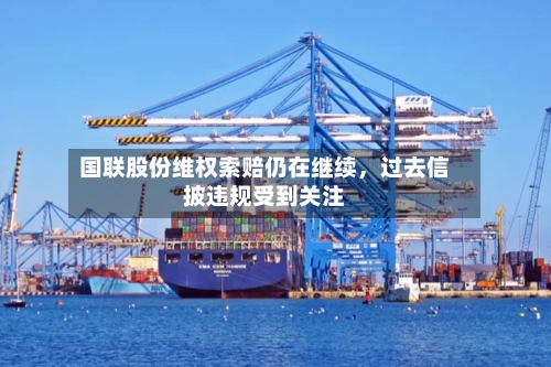 国联股份维权索赔仍在继续	，过去信披违规受到关注-第2张图片