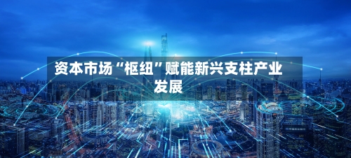 资本市场“枢纽”赋能新兴支柱产业发展-第2张图片