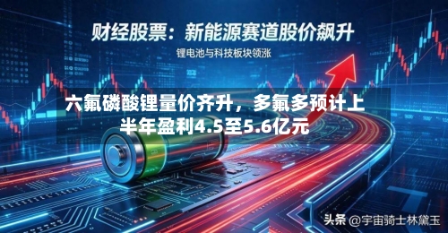 六氟磷酸锂量价齐升	，多氟多预计上半年盈利4.5至5.6亿元-第2张图片