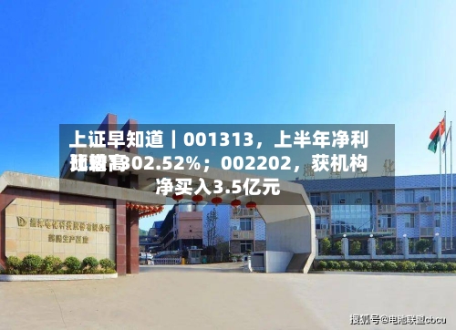 上证早知道｜001313，上半年净利比较高预增1302.52%；002202	，获机构净买入3.5亿元-第3张图片