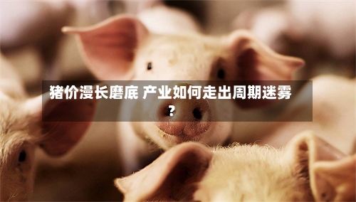 猪价漫长磨底 产业如何走出周期迷雾?-第2张图片
