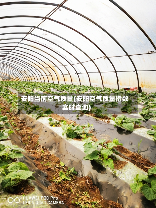 安阳当前空气质量(安阳空气质量指数实时查询)