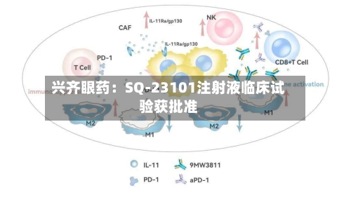 兴齐眼药：SQ-23101注射液临床试验获批准-第2张图片