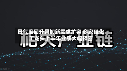 景气度回升叠加新需求扩容 多家硅化工龙头上半年业绩大幅预喜-第1张图片