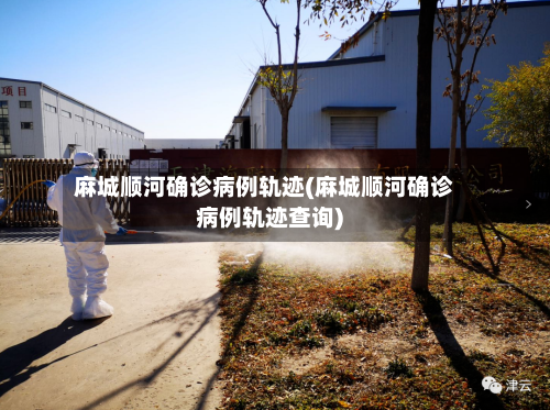 麻城顺河确诊病例轨迹(麻城顺河确诊病例轨迹查询)-第3张图片
