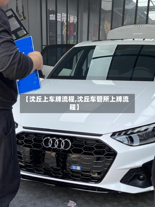 【沈丘上车牌流程,沈丘车管所上牌流程】-第2张图片