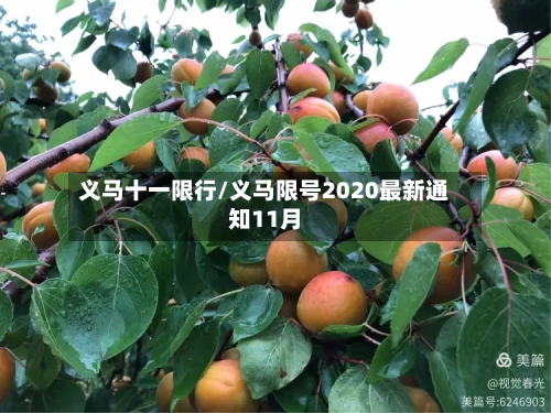 义马十一限行/义马限号2020最新通知11月