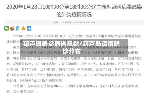 葫芦岛确诊病例总数/葫芦岛疫情确诊分布-第3张图片