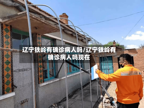 辽宁铁岭有确诊病人吗/辽宁铁岭有确诊病人吗现在