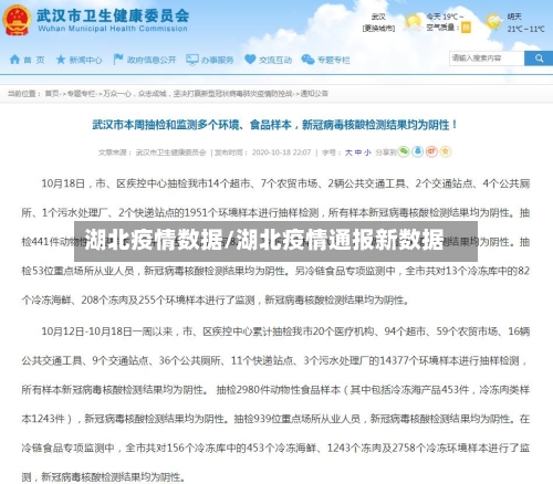 湖北疫情数据/湖北疫情通报新数据