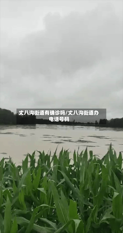 丈八沟街道有确诊吗/丈八沟街道办电话号码-第3张图片